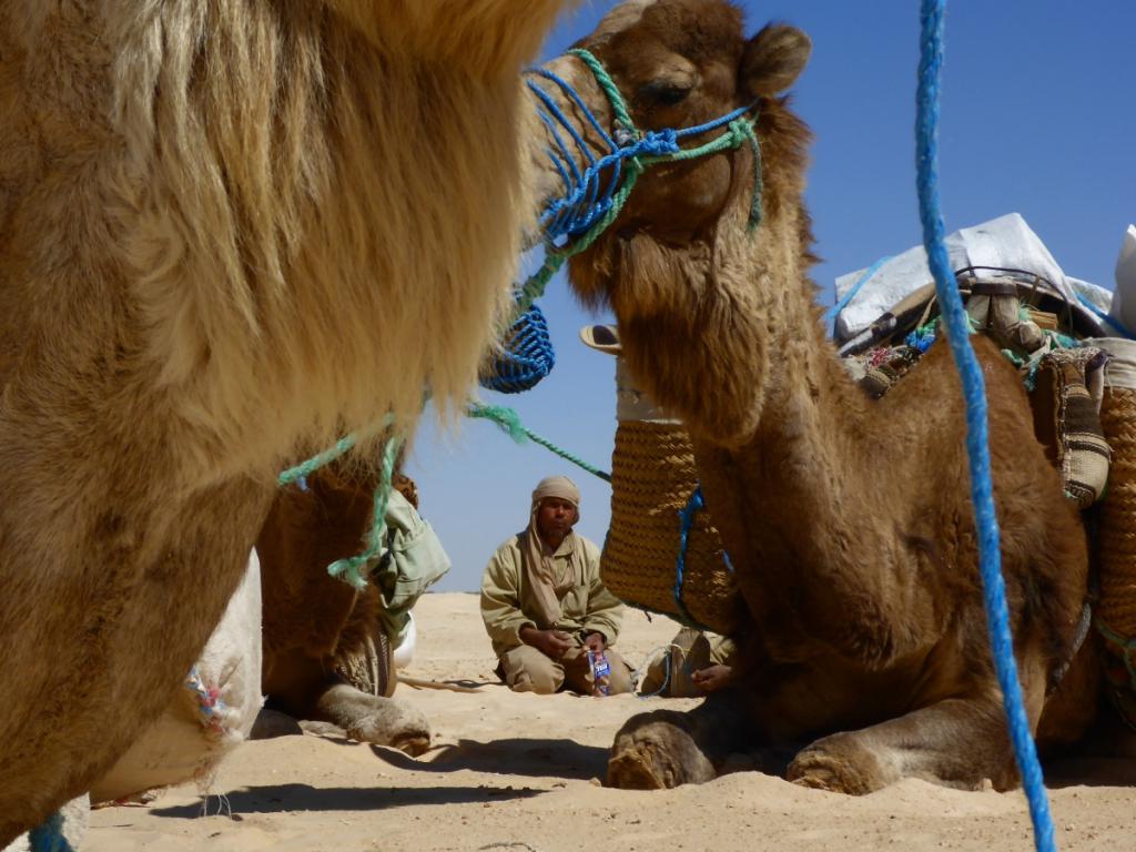 2016 Tunesien 3_15.jpeg