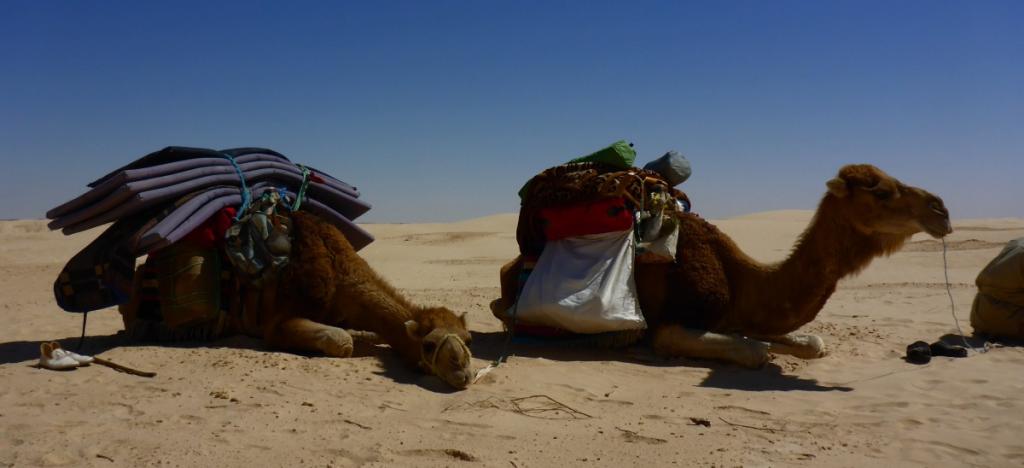 2016 Tunesien 3_16.jpeg