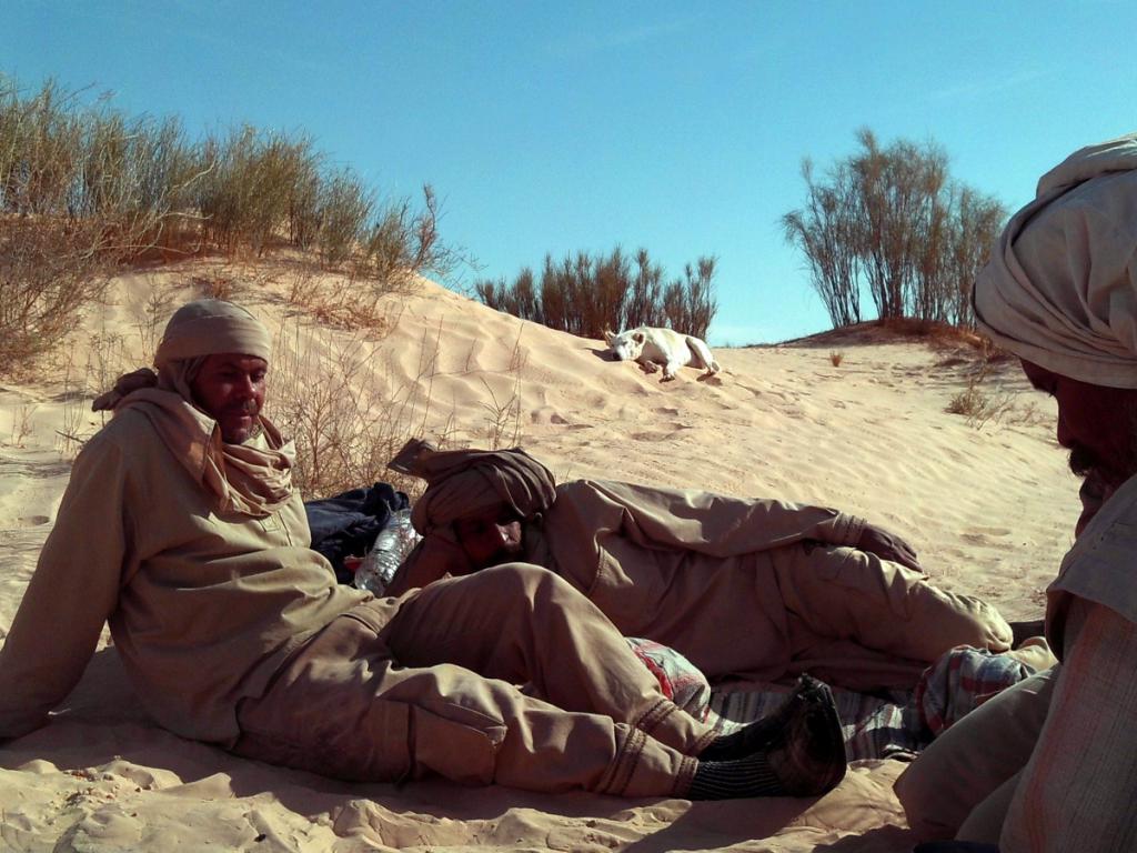 2016 Tunesien 3_17.jpeg