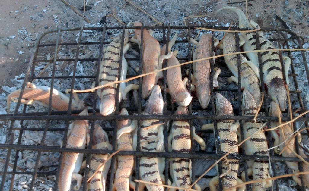 2016 Tunesien 3_18.jpeg