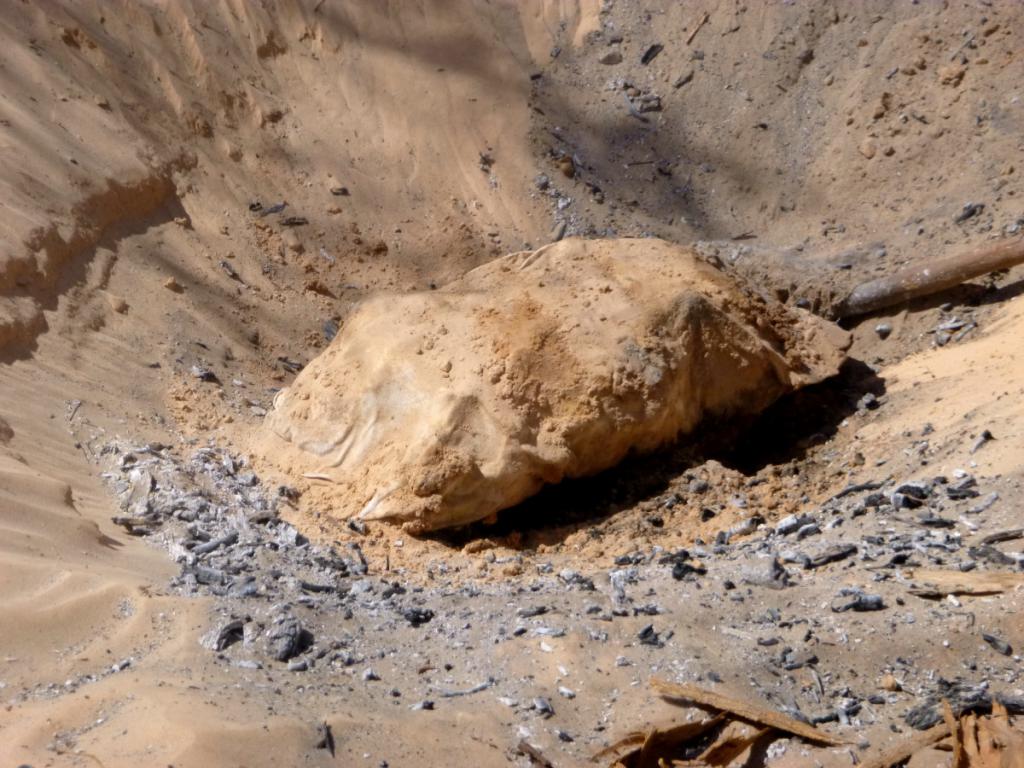 2016 Tunesien 3_20.jpeg