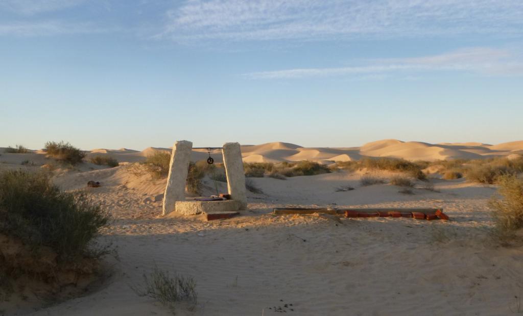 2016 Tunesien 3_25.jpeg