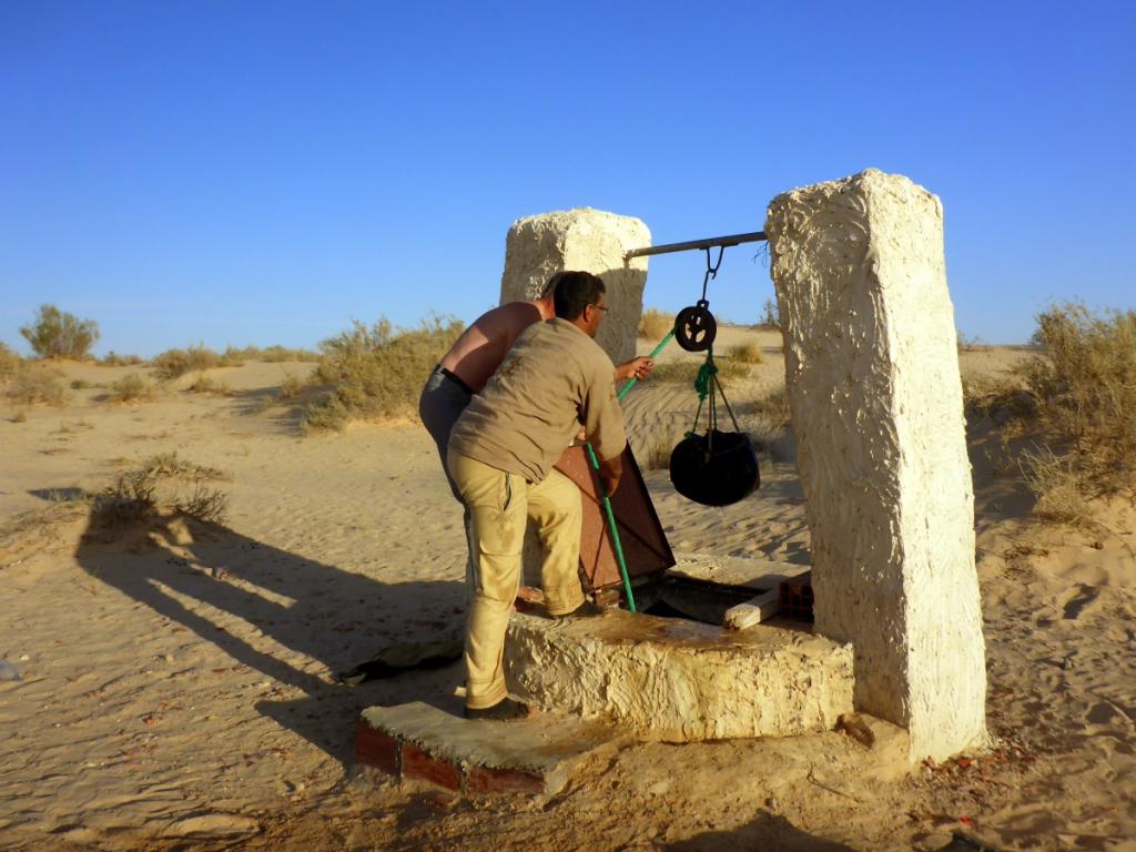 2016 Tunesien 3_26.jpeg