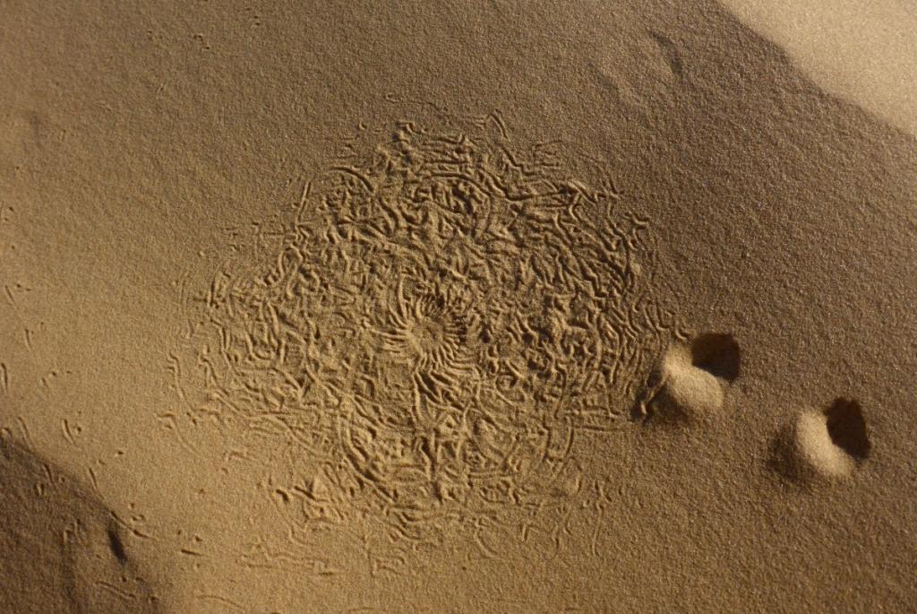 2016 Tunesien 3_27.jpeg