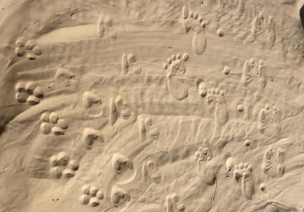 2016 Tunesien 3_28.jpeg