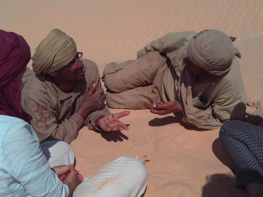 2016 Tunesien 3_29.jpeg