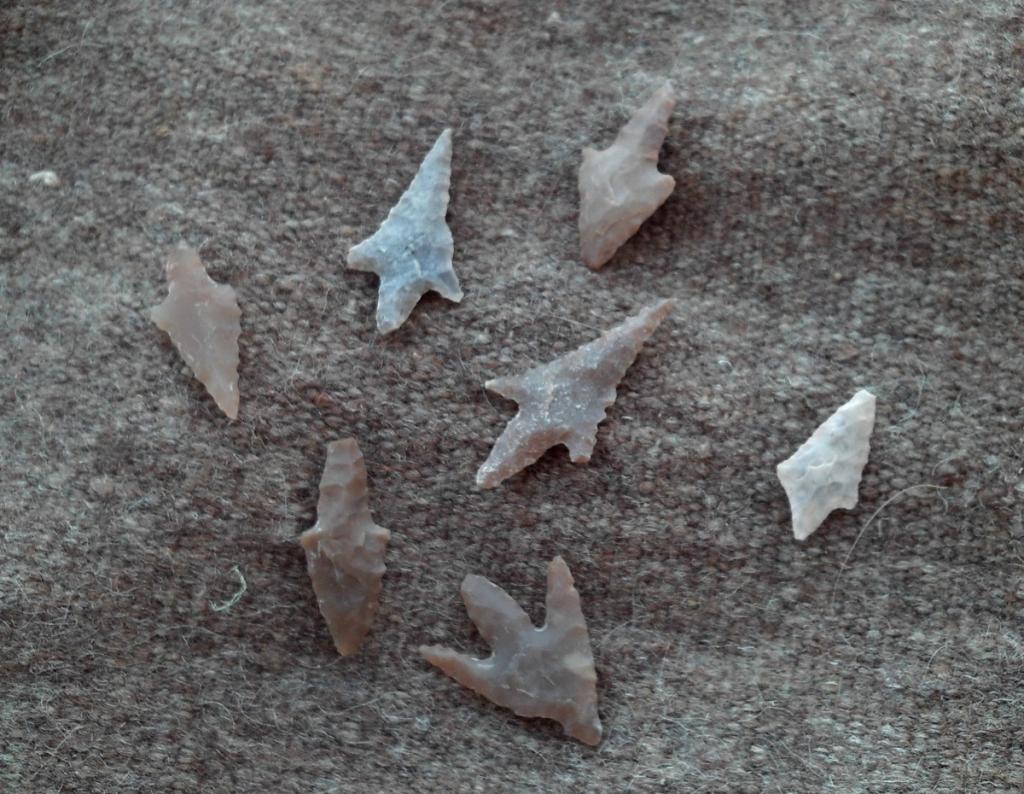 2016 Tunesien 3_30.jpeg