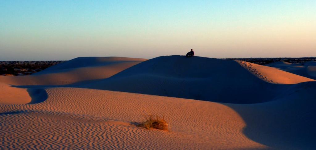 2016 Tunesien 3_32.jpeg