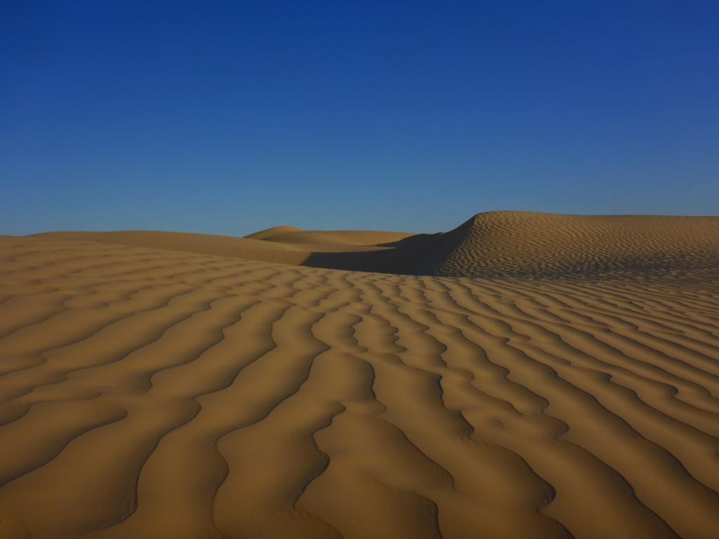 2016 Tunesien 3_33.jpeg