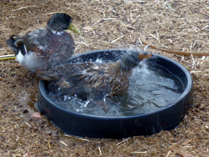 2016 Tunesien 3_37.jpeg