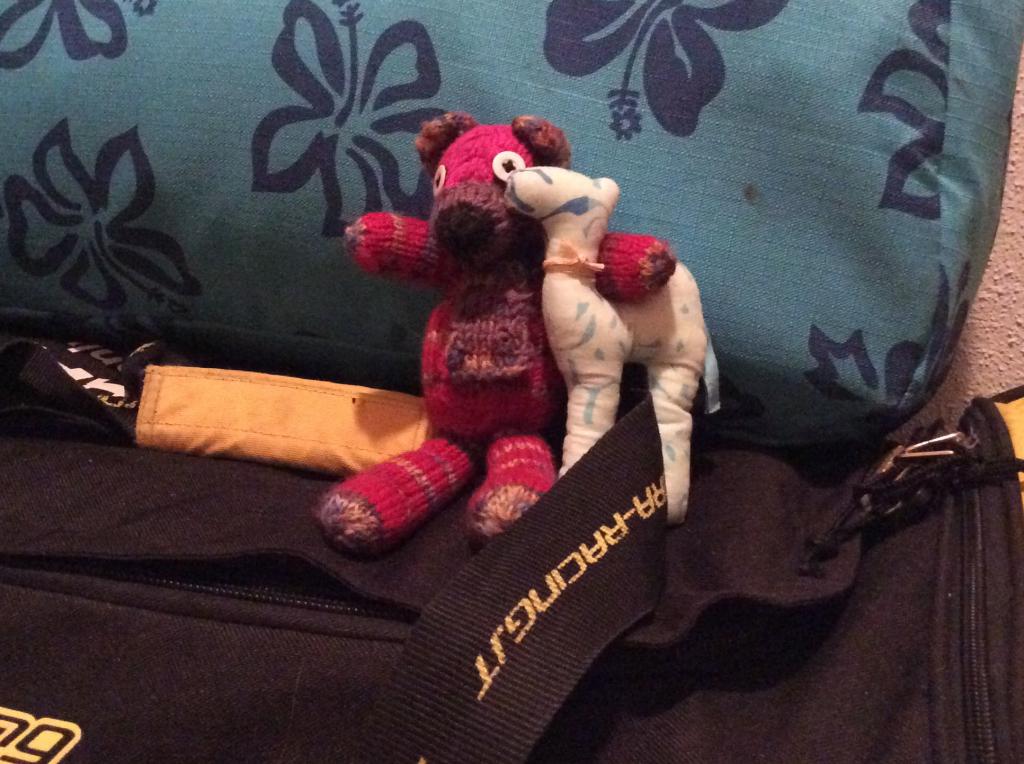 2017 Tunesien 1_1.jpeg