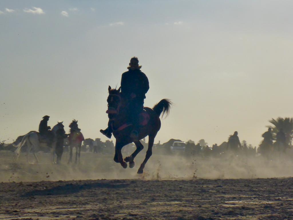 2017 Tunesien 1_15.jpeg