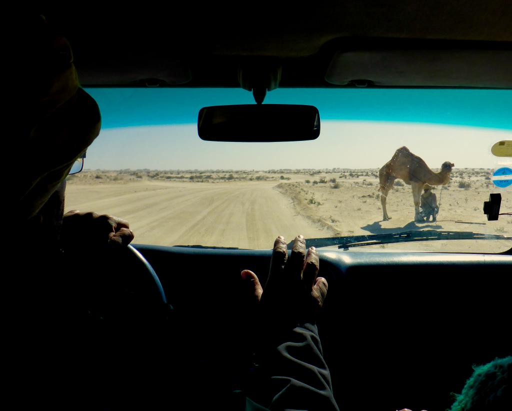 2017 Tunesien 2_1.jpeg