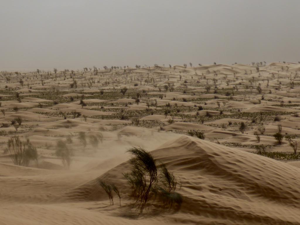 2017 Tunesien 3_8.jpeg