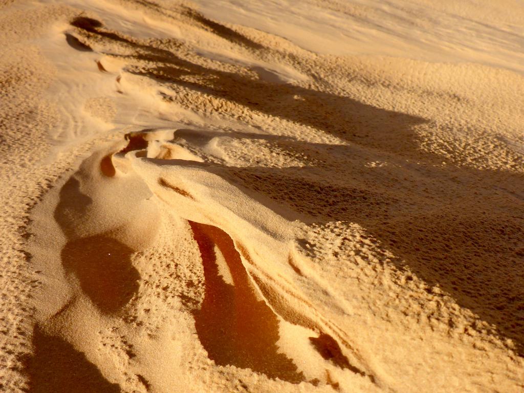 2017 Tunesien 4_5.jpeg