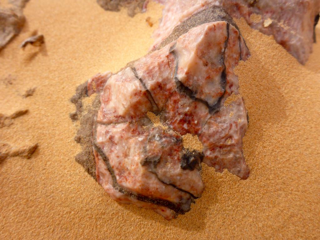 2017 Tunesien 4_7.jpeg