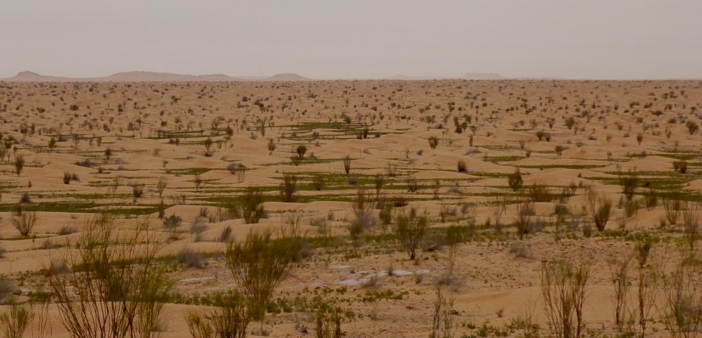 2017 Tunesien 4_8.jpeg