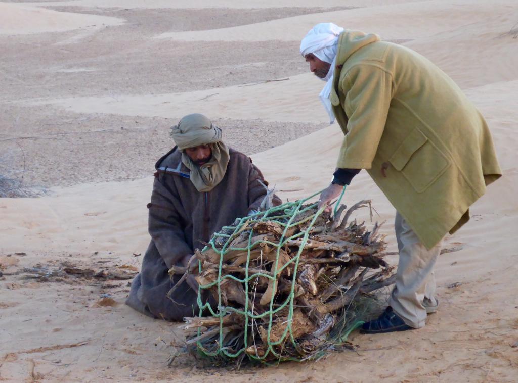 2017 Tunesien 4_11.jpeg