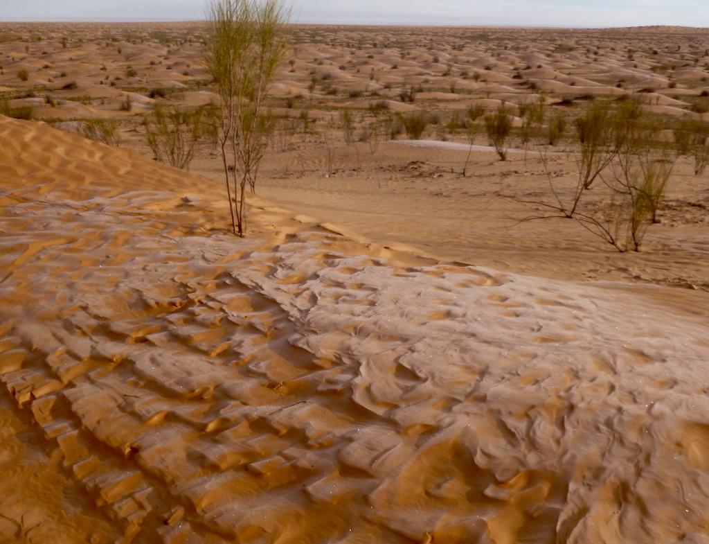 2017 Tunesien 5_1.jpeg