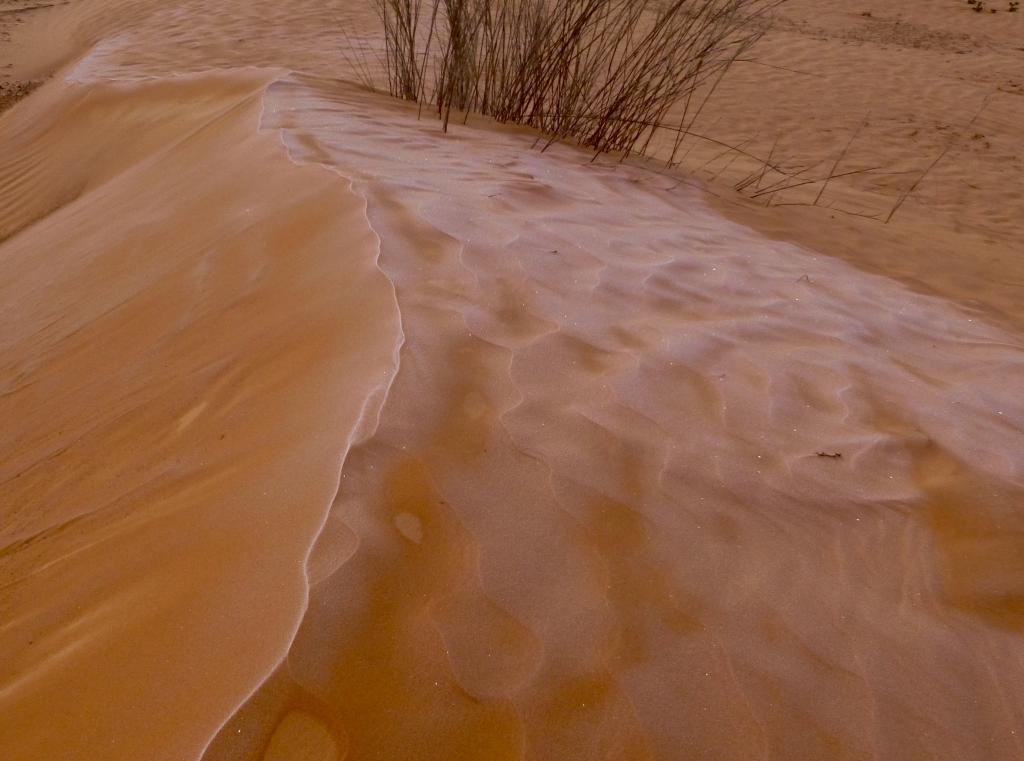 2017 Tunesien 5_4.jpeg