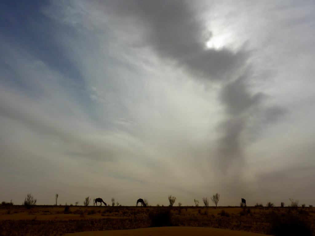 2017 Tunesien 5_5.jpeg