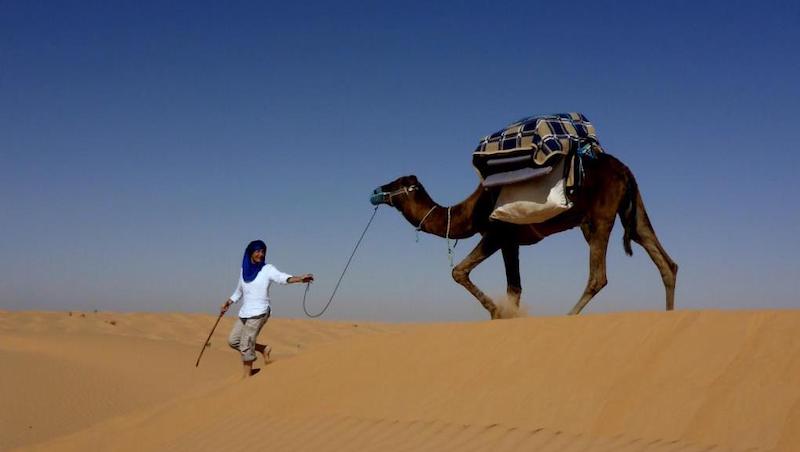 2015 Tunesien Titel.jpeg