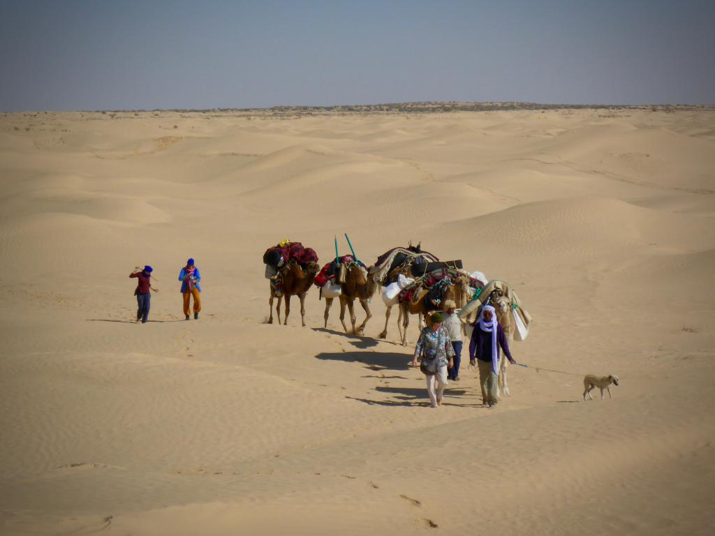 2020 Tunesien 1_4.jpeg