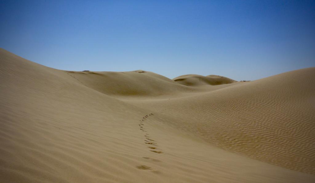 2020 Tunesien 1_11.jpeg