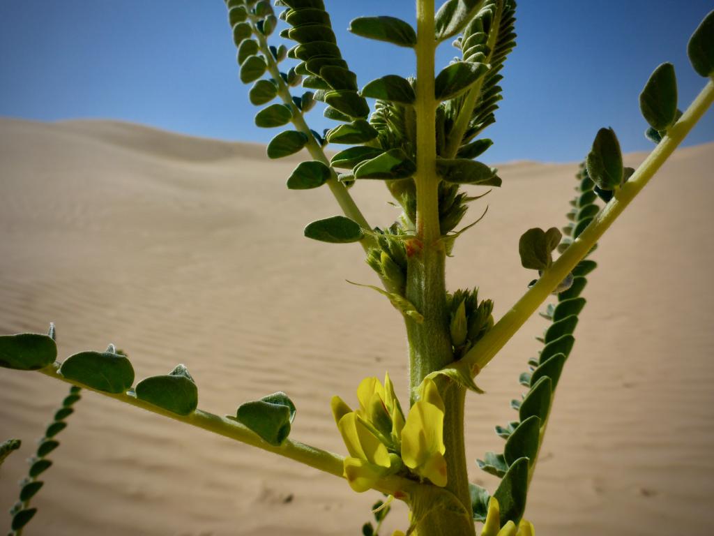 2020 Tunesien 1_14.jpeg