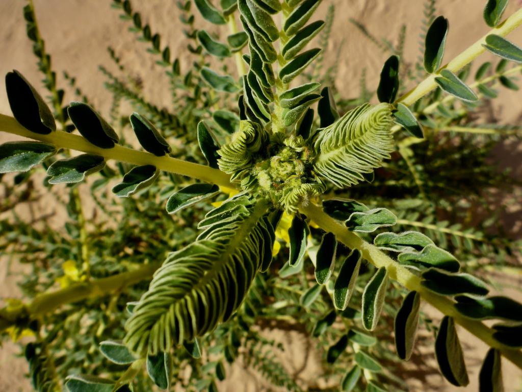 2020 Tunesien 1_15.jpeg