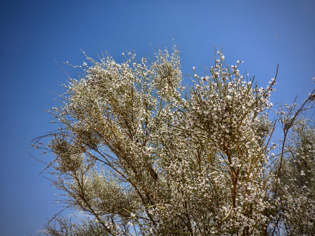 2020 Tunesien 1_17.jpeg