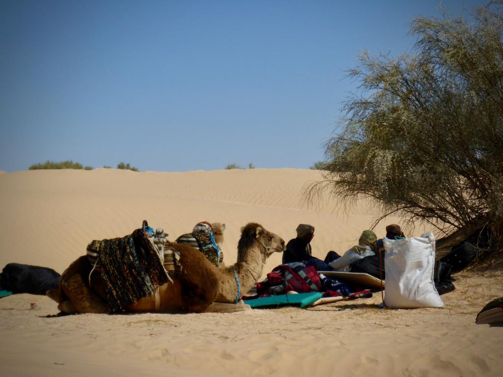 2020 Tunesien 1_18.jpeg