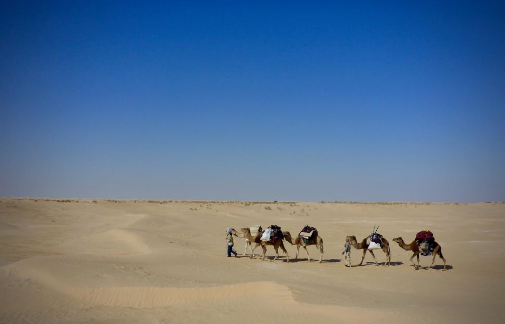 2020 Tunesien 1_20.jpeg