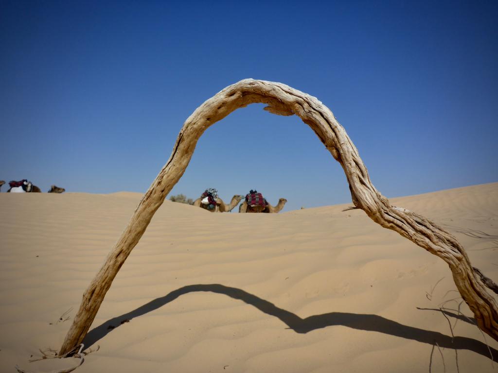 2020 Tunesien 1_21.jpeg