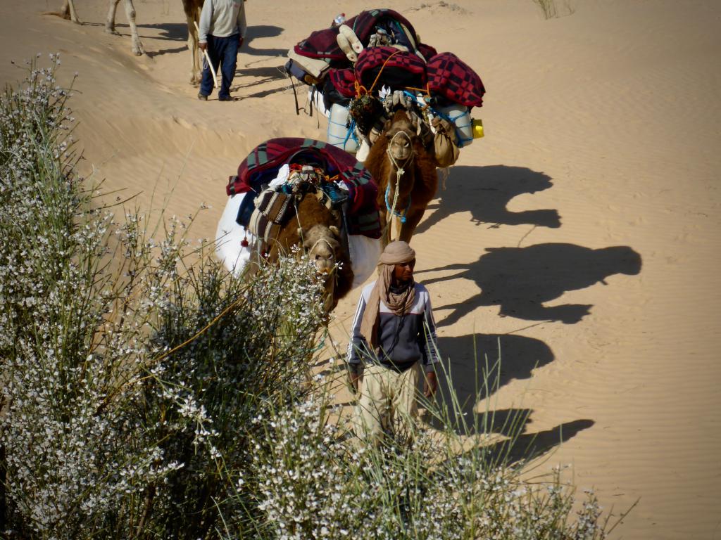 2020 Tunesien 1_22.jpeg