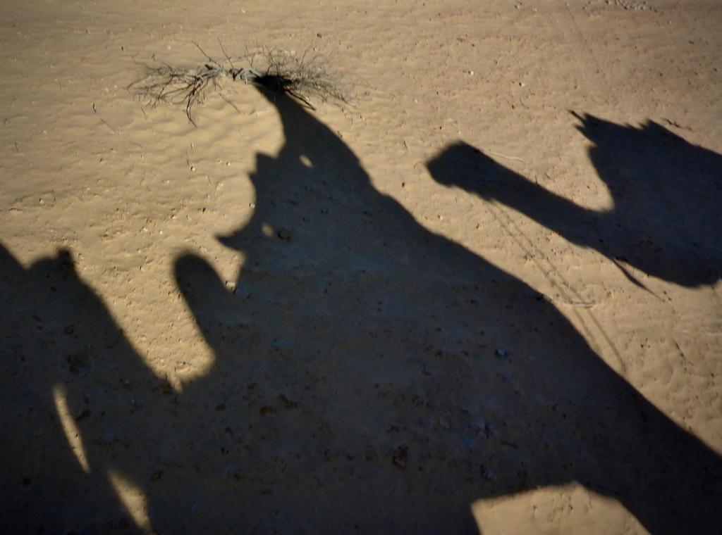 2020 Tunesien 1_23.jpeg