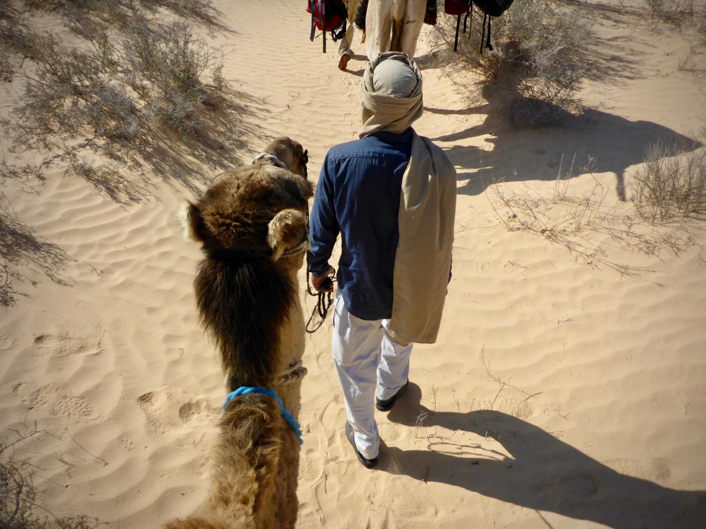 2020 Tunesien 1_25.jpeg