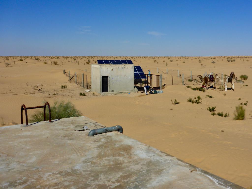 2020 Tunesien 1_26.jpeg