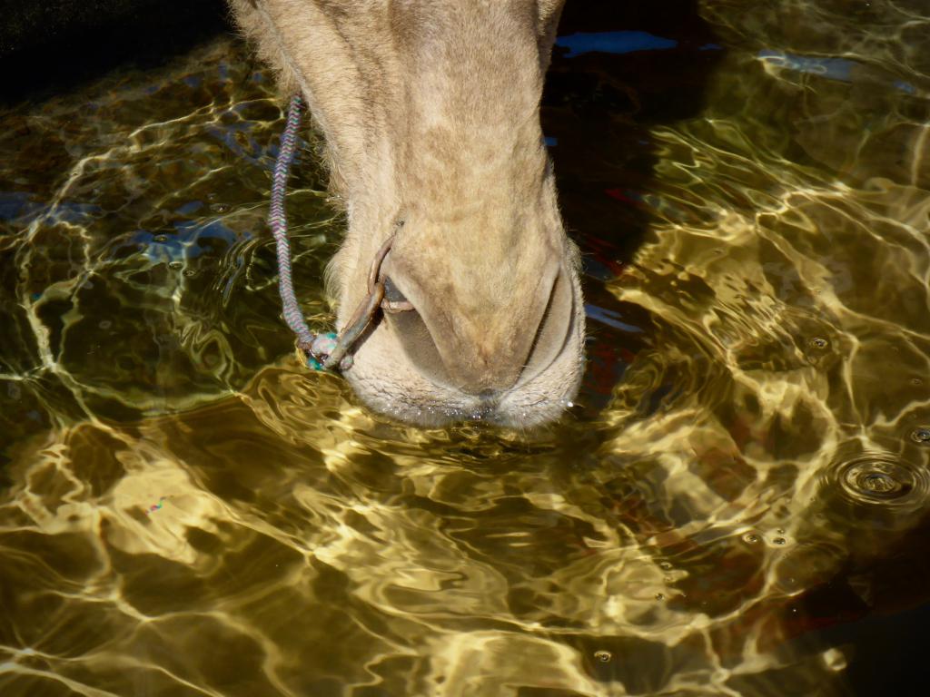 2020 Tunesien 1_28.jpeg