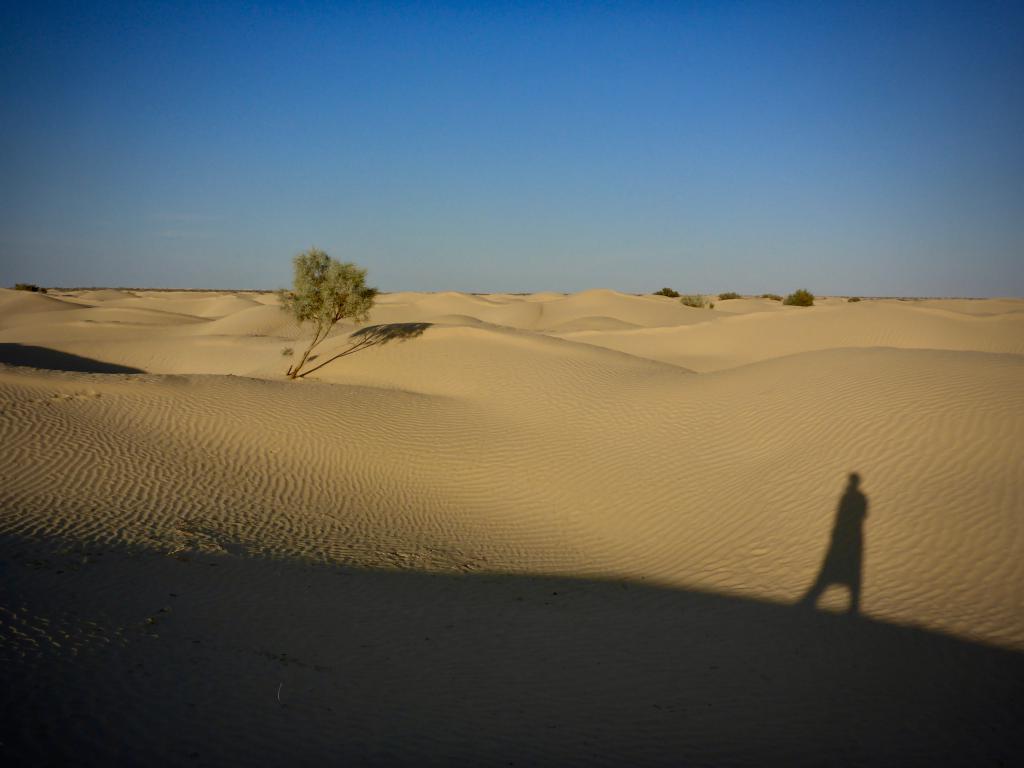 2020 Tunesien 2_5.jpeg