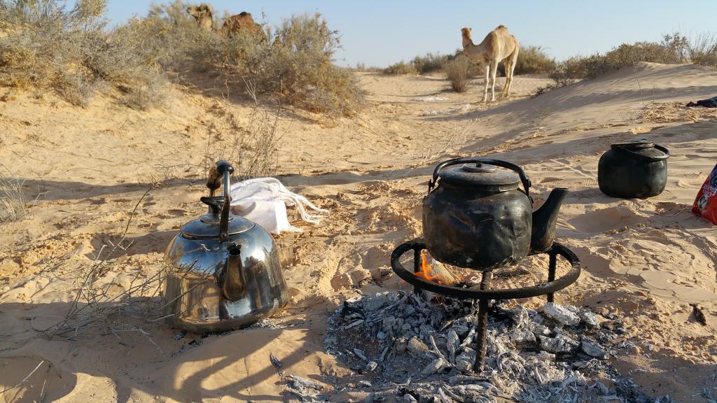 2020 Tunesien 2_9.jpeg