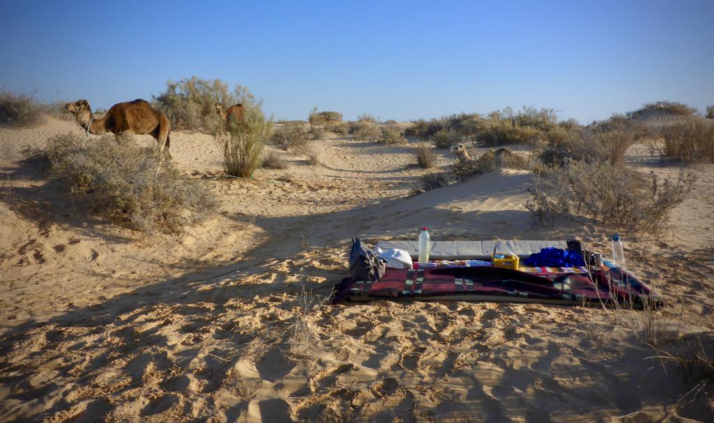 2020 Tunesien 2_10.jpeg