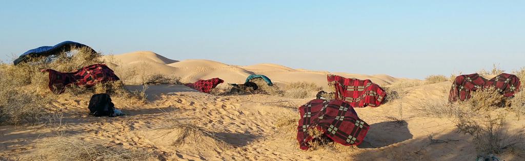 2020 Tunesien 2_11.jpeg