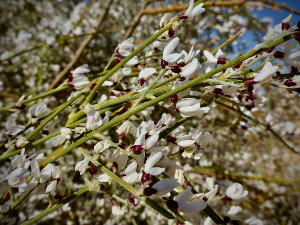 2020 Tunesien 2_12.jpeg