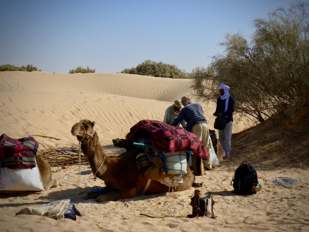 2020 Tunesien 2_13.jpeg