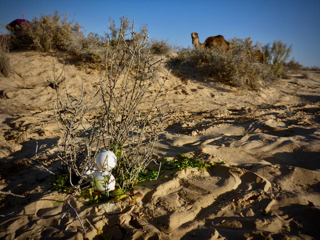 2020 Tunesien 2_17.jpeg