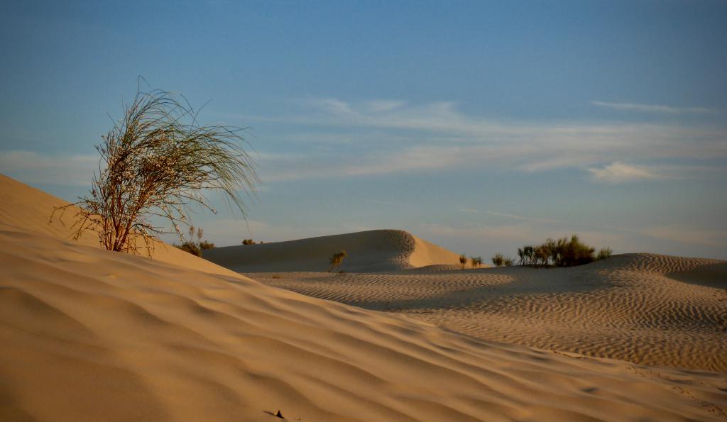 2020 Tunesien 3_2.jpeg