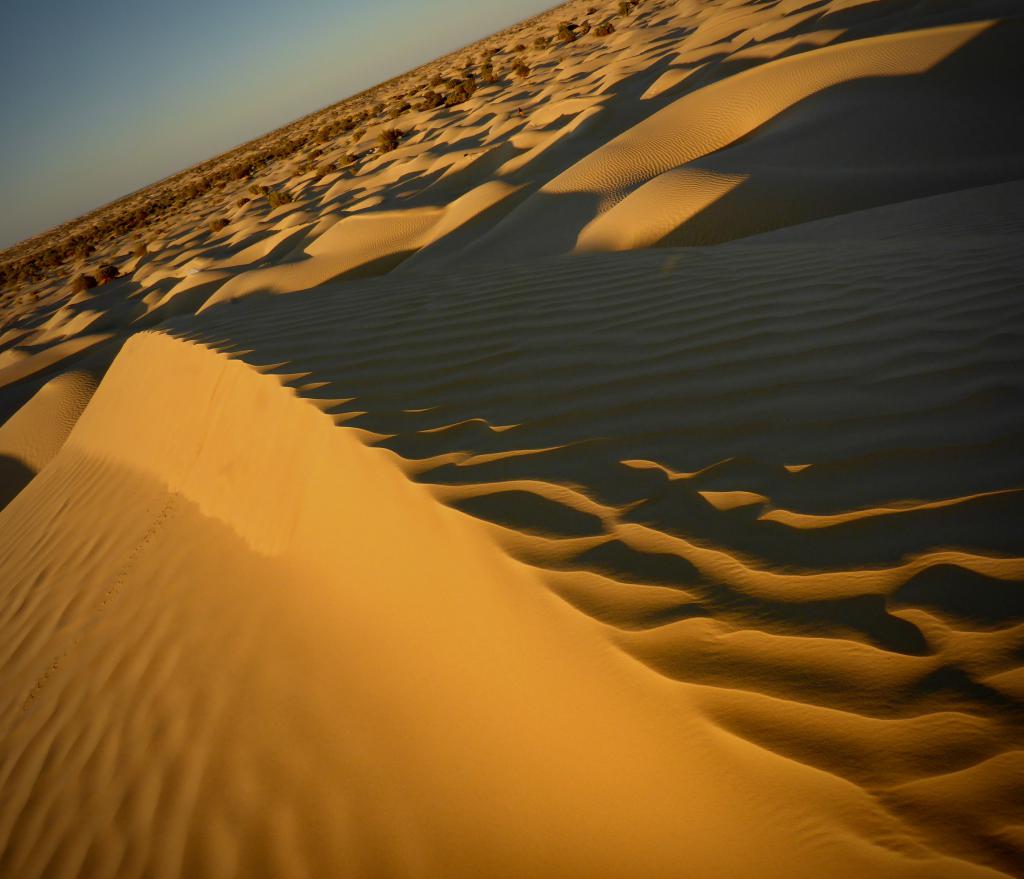 2020 Tunesien 3_3.jpeg