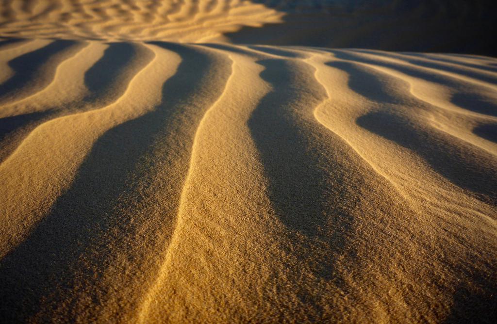 2020 Tunesien 3_4.jpeg