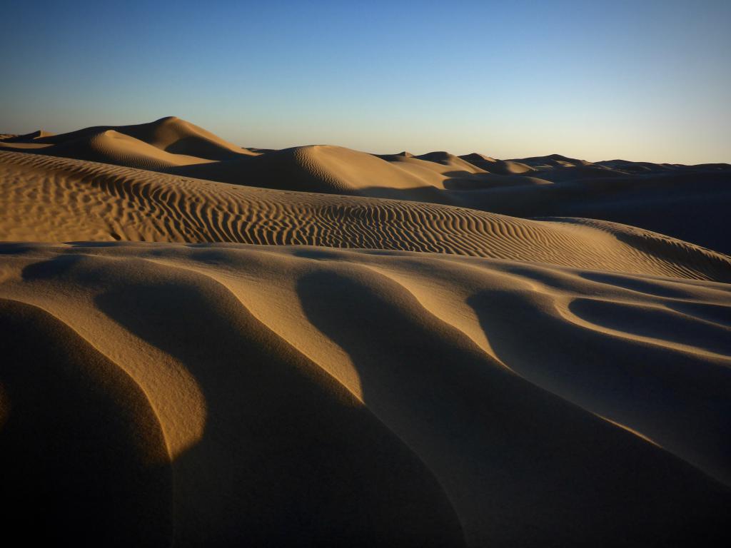 2020 Tunesien 3_5.jpeg